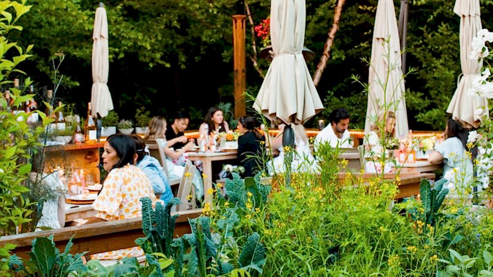 People dining outdoors at wooden tables surrounded by lush greenery and plants, with beige umbrellas and trees in the background.