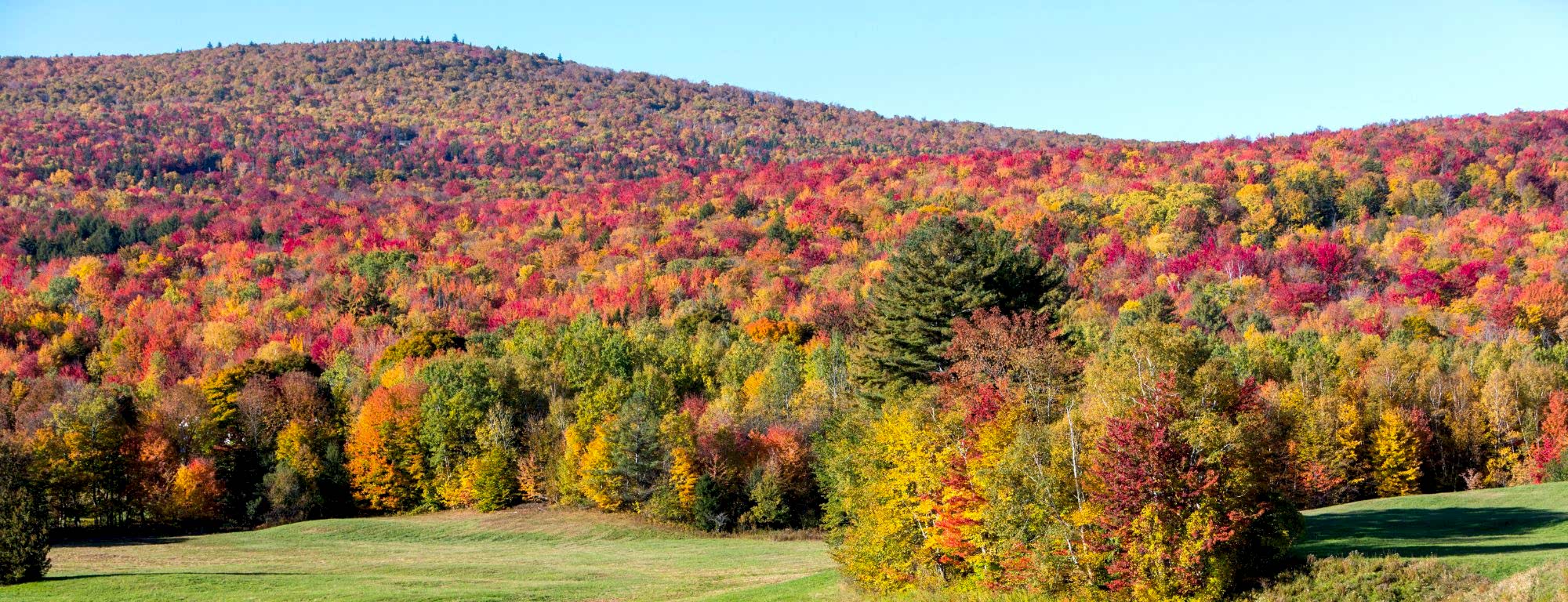 When Fall Color Actually Peaks Near Lexington: A 2026 Leaf-Peeping Timing Guide